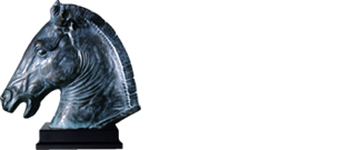 SRS Logo